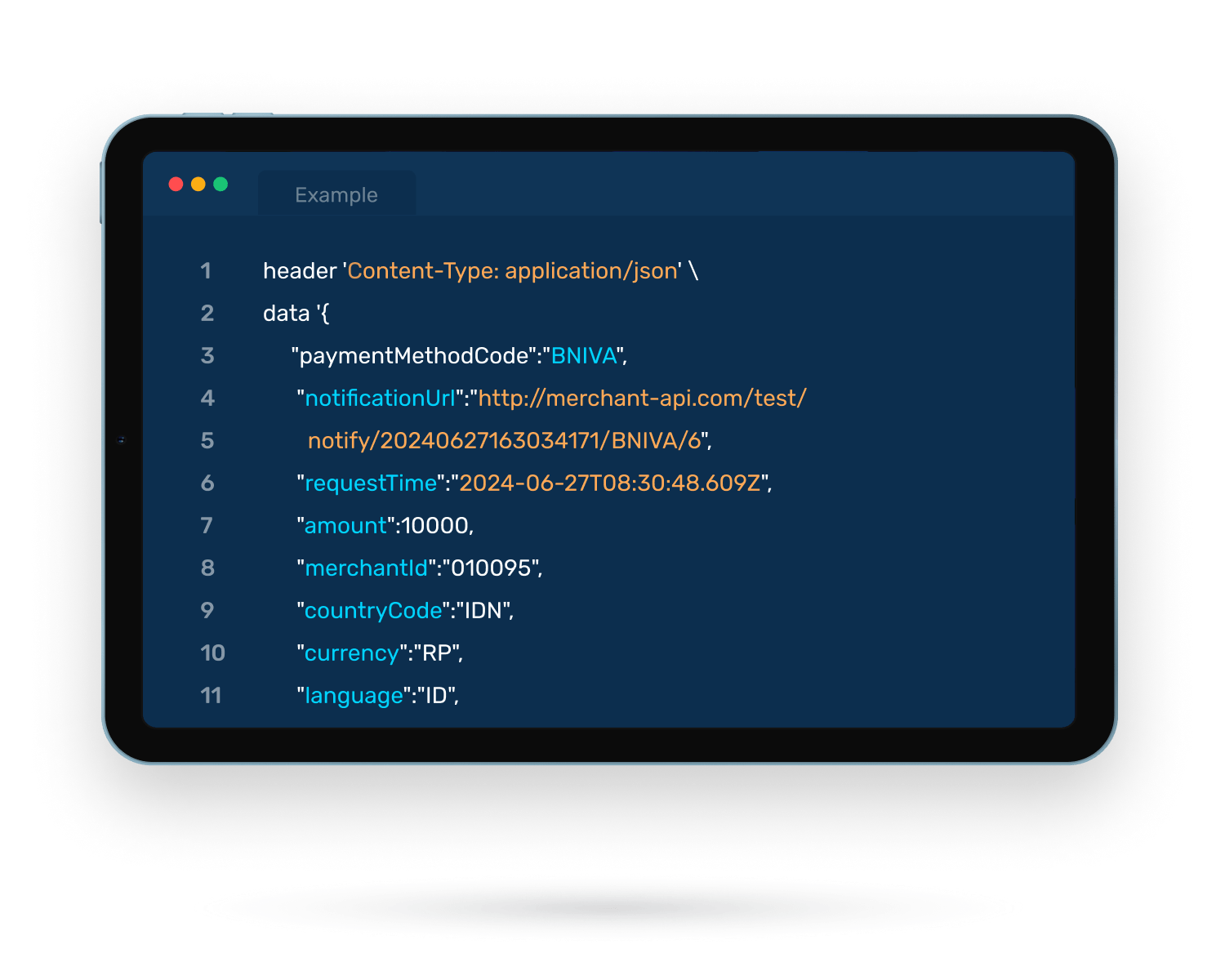 API Integration Example